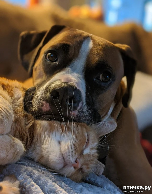 ���� 7: ����������� �� �������������. ���� � ������ �.2