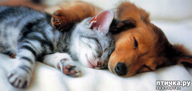 ���� 10: ����������� �� �������������. ���� � ������ �.2