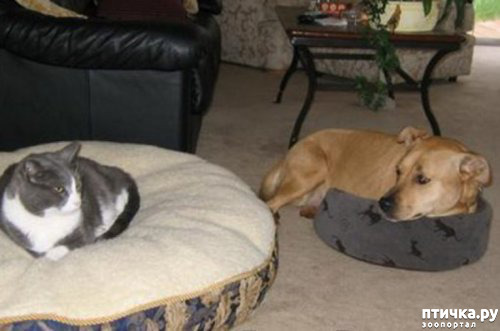 ���� 13: ����������� �� �������������. ���� � ������ �.2