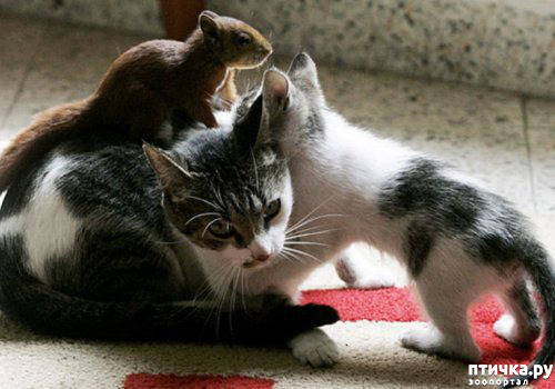 ���� 14: ����������� �� �������������. ���� � ������ �.2