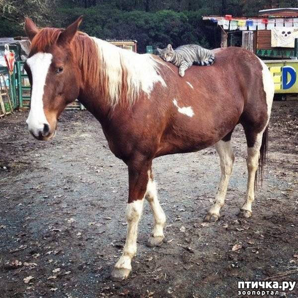 ���� 15: ����������� �� �������������. ���� � ������ �.2