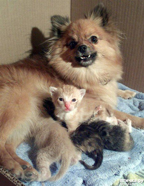 ���� 16: ����������� �� �������������. ���� � ������ �.2