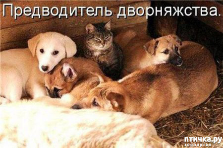 ���� 17: ����������� �� �������������. ���� � ������ �.2