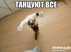 ����: ����� ������ ������� ������