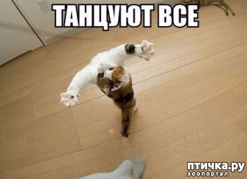 ���� 1: ����� ������ ������� ������