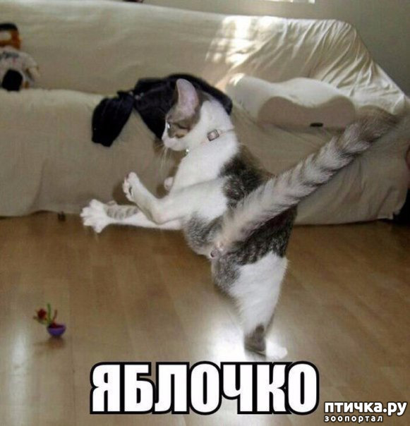 ���� 2: ����� ������ ������� ������