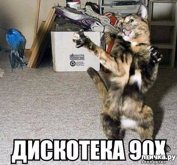 ���� 3: ����� ������ ������� ������