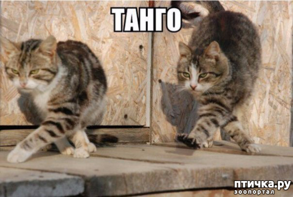 ���� 4: ����� ������ ������� ������