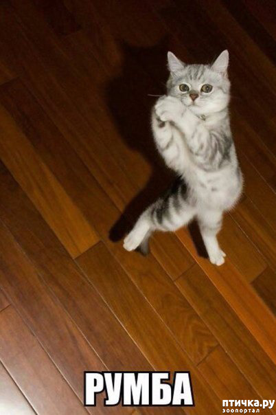 ���� 5: ����� ������ ������� ������