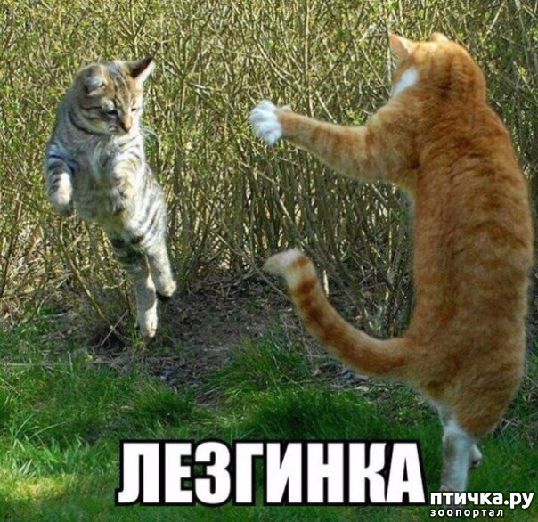 ���� 7: ����� ������ ������� ������