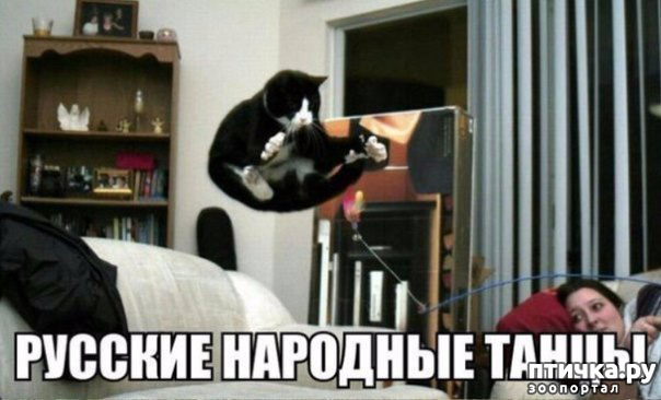 ���� 8: ����� ������ ������� ������