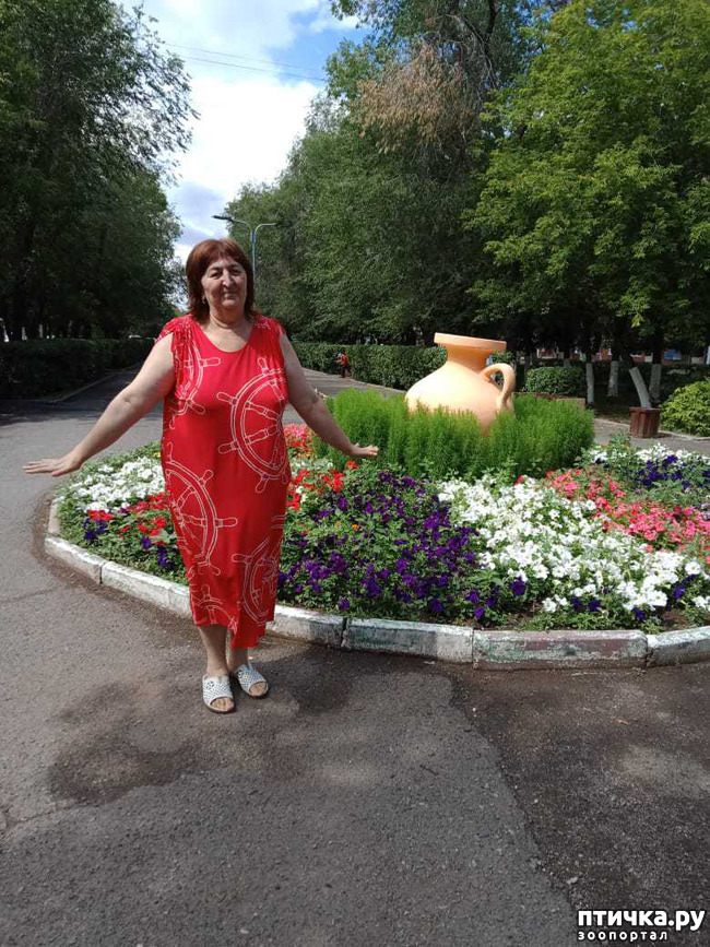 ���� 10: ���� � ����� ������