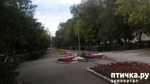 ����: ���� � ����� ������