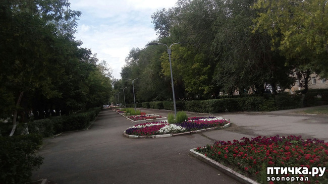 ���� 1: ���� � ����� ������