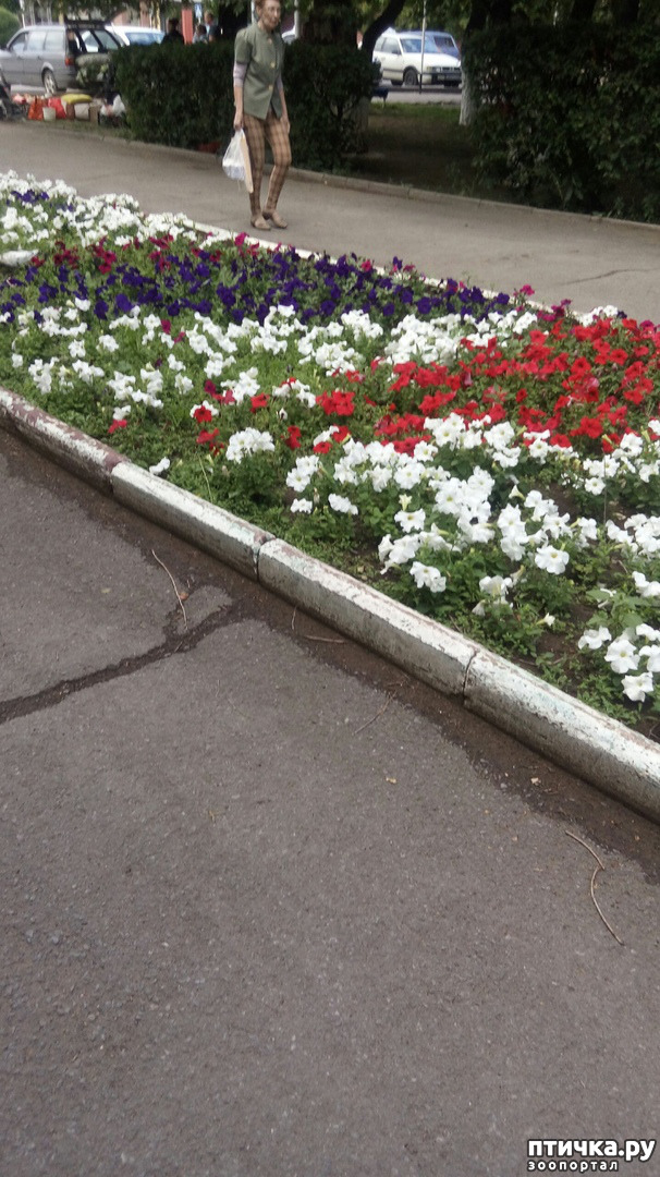 ���� 2: ���� � ����� ������