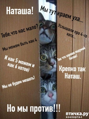 ����: �� ��� �������� ������� ������.. �� ������ ����� �����