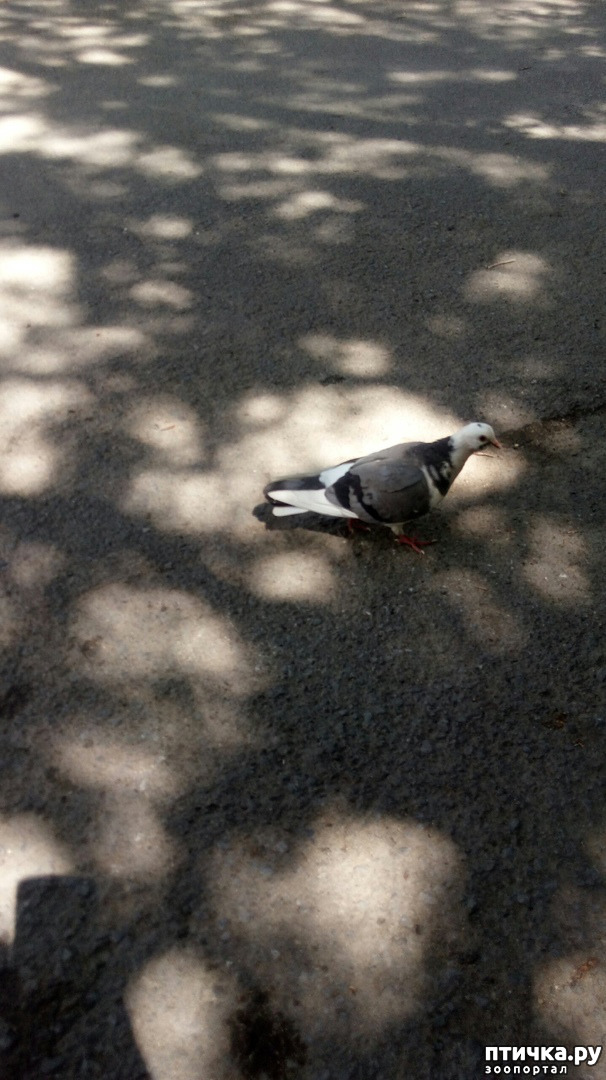 ���� 3: ���� � ����� ������