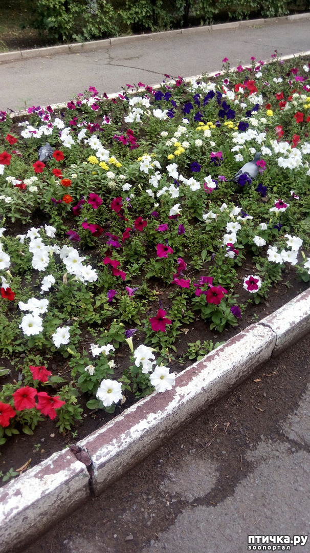 ���� 4: ���� � ����� ������