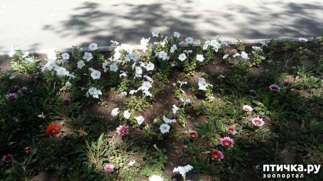 ���� 5: ���� � ����� ������