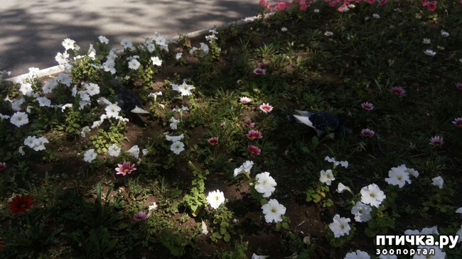 ���� 6: ���� � ����� ������