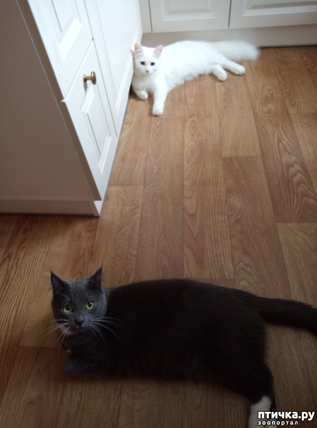 ���� 1: ��� ��������