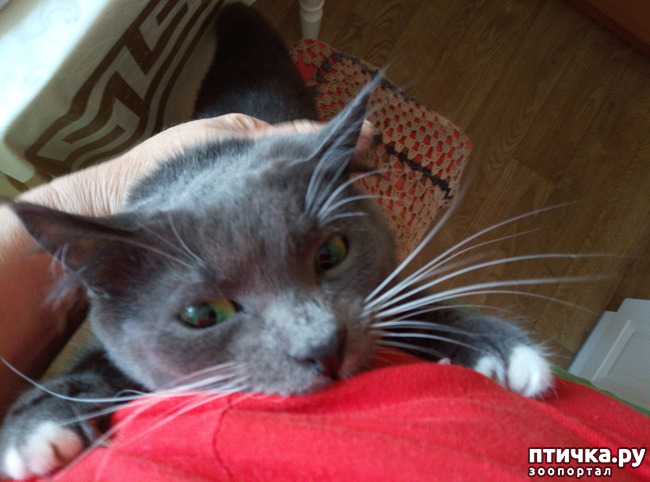 ���� 3: ��� ��������