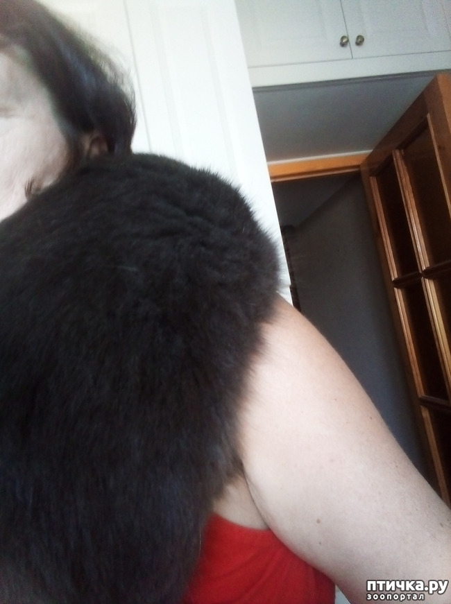 ���� 4: ��� ��������