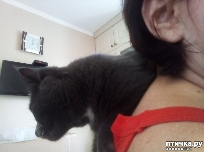 ���� 5: ��� ��������