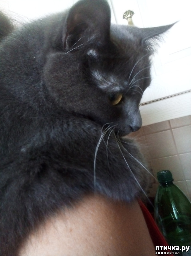 ���� 6: ��� ��������