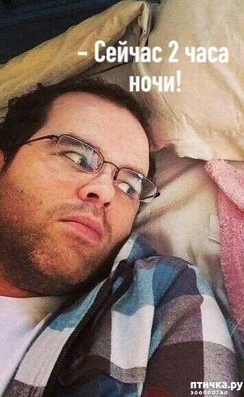 ���� 2: ��� ��� ��������?