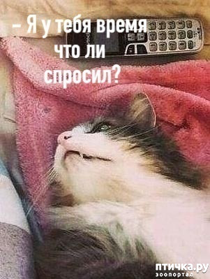 ���� 3: ��� ��� ��������?