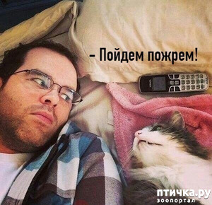 ����: ��� ��� ��������?