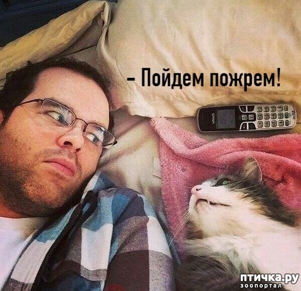 ���� 1: ��� ��� ��������?