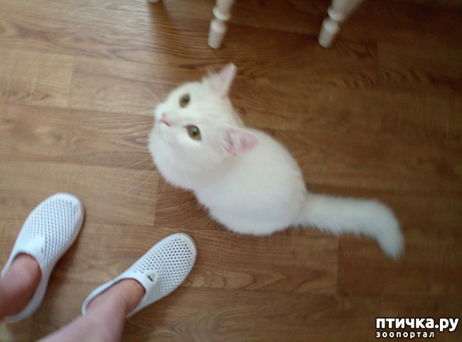 ���� 7: ��� ��������