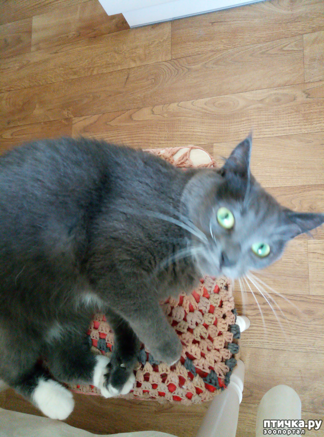 ���� 8: ��� ��������