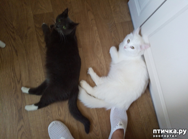 ���� 2: ��� ��������