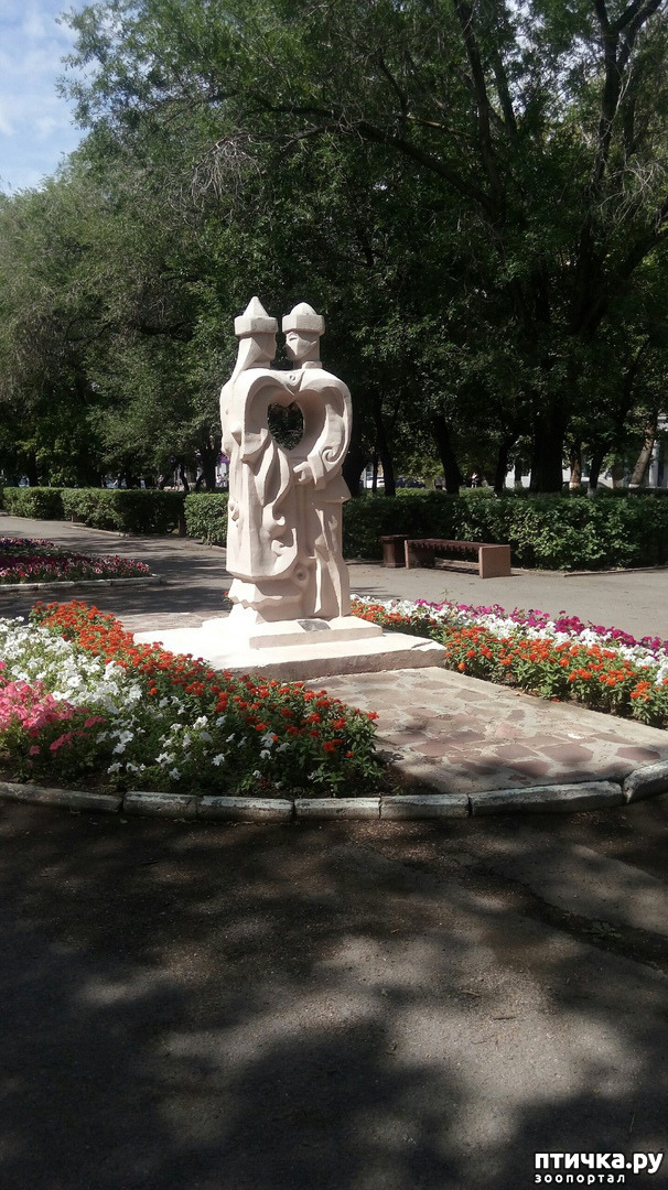 ���� 8: ���� � ����� ������