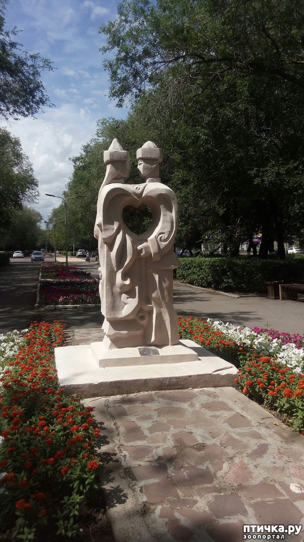 ���� 9: ���� � ����� ������