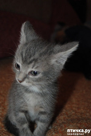 ����: ����� � �����