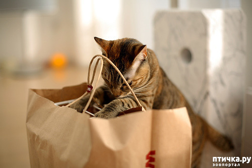 ���� 12: ������� �����