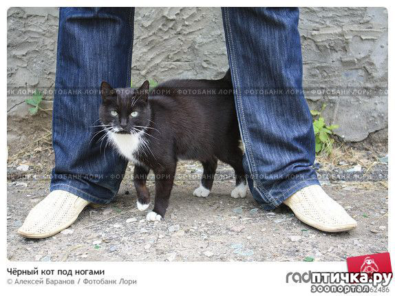 ���� 7: ������� �����