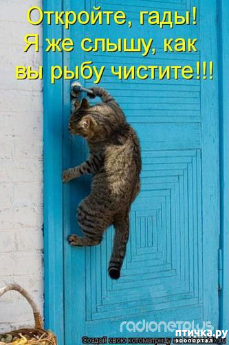 ���� 2: ������� �����