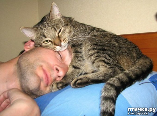 ���� 8: ������� �����