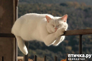 ����: ������ ����� �����