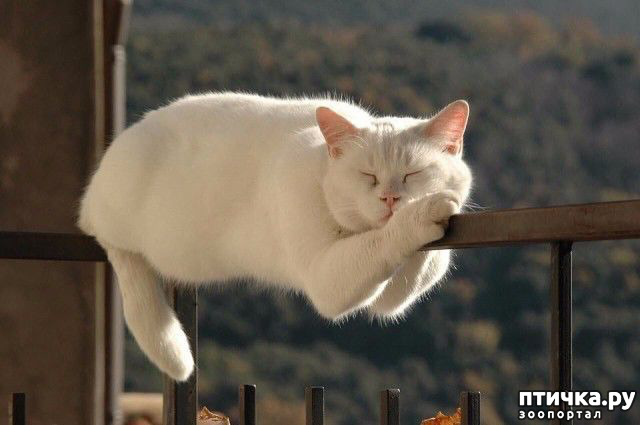 ���� 1: ������ ����� �����