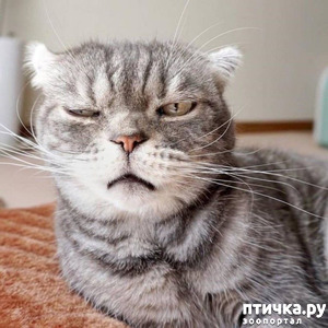 ����: ������ �������� ������ ����, ��� �� ������ ������. �� ������� ������ - �� �����)