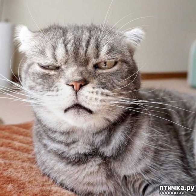 ���� 1: ������ �������� ������ ����, ��� �� ������ ������. �� ������� ������ - �� �����)