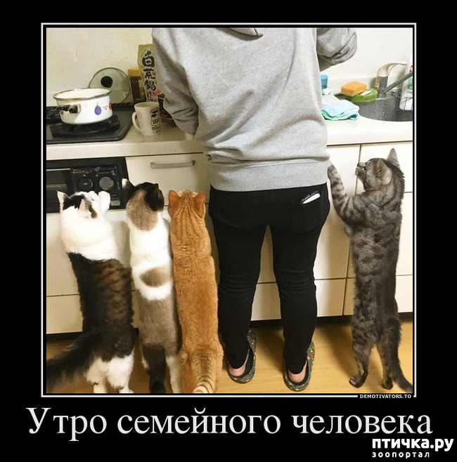 ���� 3: ������� �����