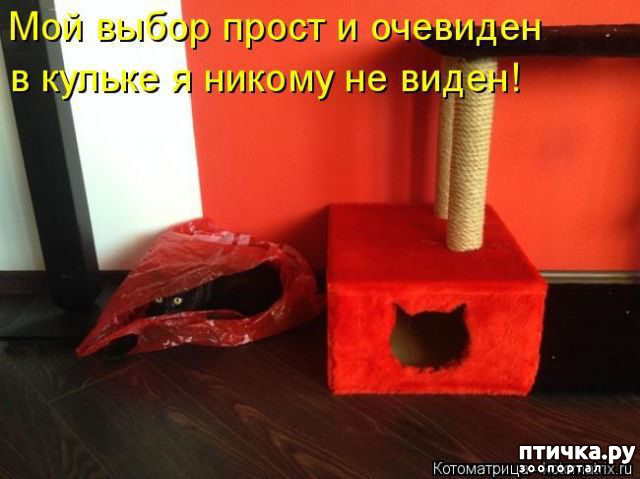 ���� 9: ������� �����