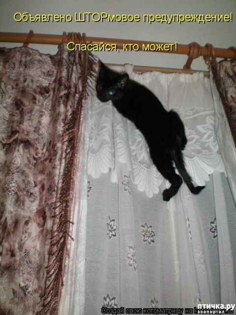 ���� 10: ������� �����